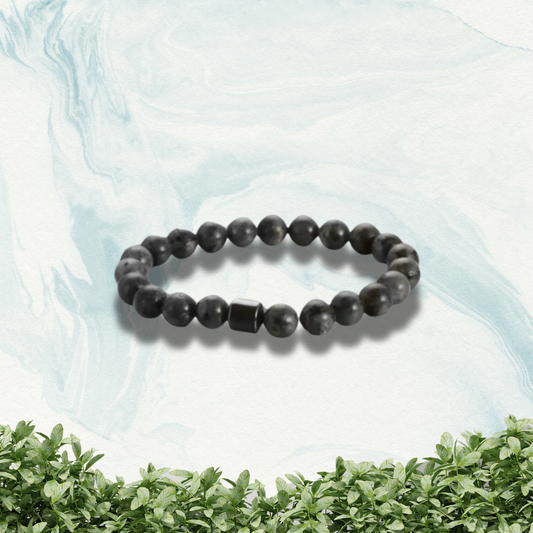 SobriBracelet US