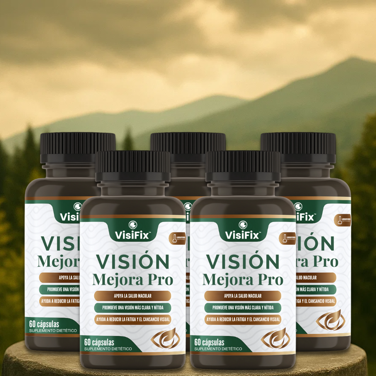 VisiFix US